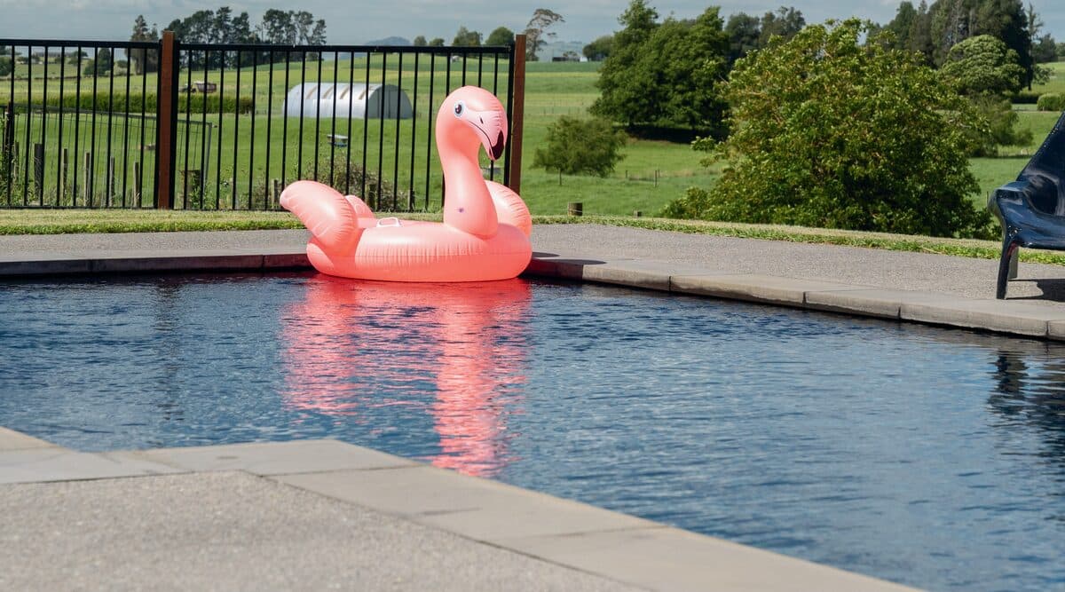 A dark-shell Kiwi Estate 10 pool with an inflatable flamingo, looking out over farmland